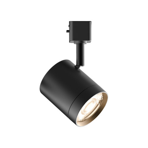 Line Voltage Track Head - RP Lighting + Fans